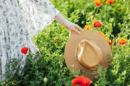Girl wearing white dress and straw hat walks among red poppy flowers on the sunset.の写真素材