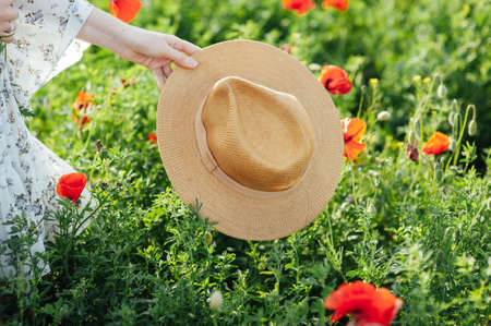 Girl wearing white dress and straw hat walks among red poppy flowers on the sunset.の写真素材
