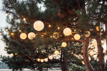 Decorative outdoor string lights hanging on tree in the garden at night timeの写真素材