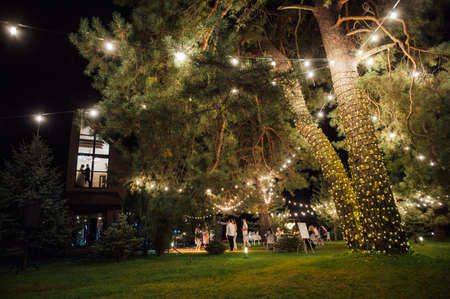 Decorative outdoor string lights hanging on tree in the garden at night timeの写真素材