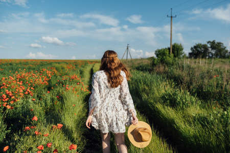 Girl wearing white dress and straw hat walks among red poppy flowers on the sunset.の写真素材