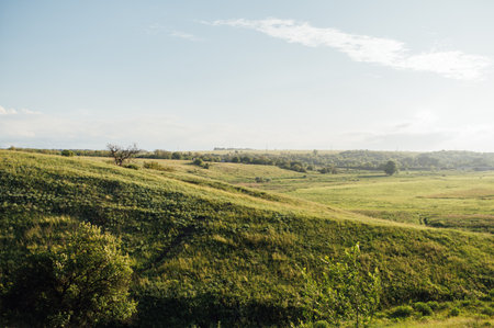 Wonderful landscape during sunrise. Wild flowers in springtime. Beautiful natural landscape in the summertime. Sunny dayの写真素材