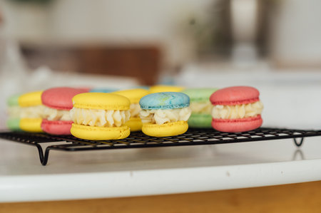 traditional french colorful macarons in a rows on a metal meshの写真素材