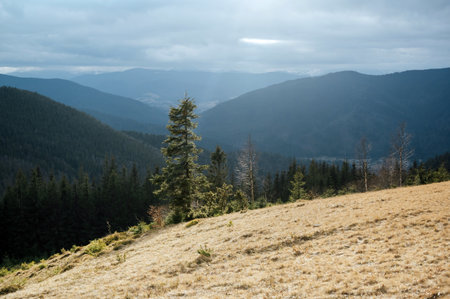 Carpathians. Ukraine. Mountain landscape. Winter Carpathians 2023 without snowの写真素材