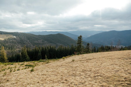 Carpathians. Ukraine. Mountain landscape. Winter Carpathians 2023 without snowの写真素材