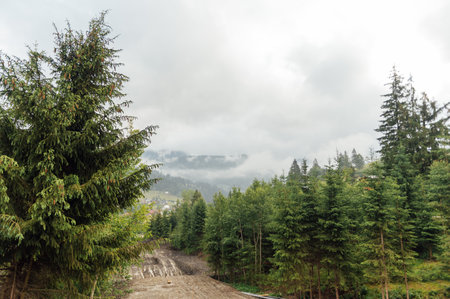 Green Ukrainian mountains. Summer time. Beautiful views of the largest peaks.の写真素材