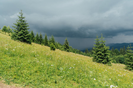 Green Ukrainian mountains in front of the storm. Summer time. Beautiful view of the largest peaks.の写真素材