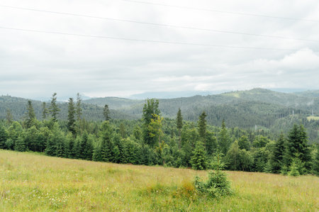Green Ukrainian mountains. Summer time. Beautiful views of the largest peaks.の写真素材