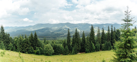 Green Ukrainian mountains. Summer time. Beautiful views of the largest peaks.の写真素材