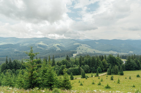 Green Ukrainian mountains. Summer time. Beautiful views of the largest peaks.の写真素材