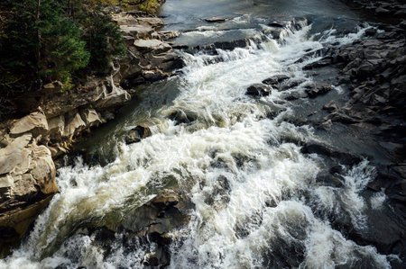 Wild mountain river flowing through stone boulders. Abundant clear stream in carpathians.