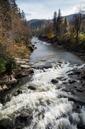 Wild mountain river flowing through stone boulders. Abundant clear stream in carpathians.の写真素材