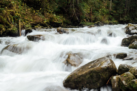 The stormy mountain river flows along the gorge high in the mountainsの写真素材