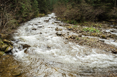 The stormy mountain river flows along the gorge high in the mountainsの写真素材