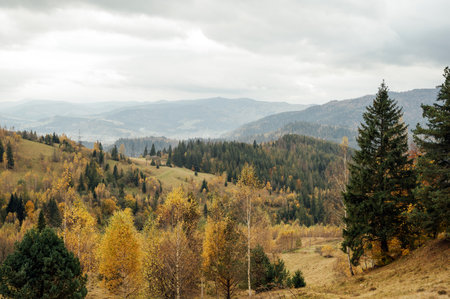 Golden autumn in the Carpathians. Mining arrays combined with trees with yellow leaves. Beautiful clouds and sunの写真素材