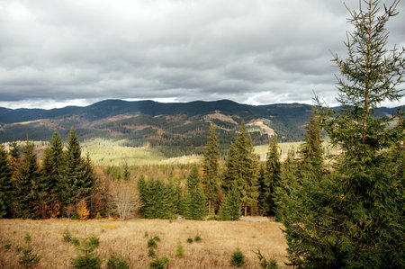 Golden autumn in the Carpathians. Mining arrays combined with trees with yellow leaves. Beautiful clouds and sunの写真素材
