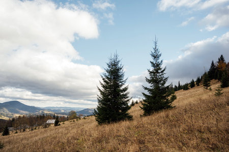 Golden autumn in the Carpathians. Mining arrays combined with trees with yellow leaves. Beautiful clouds and sunの写真素材