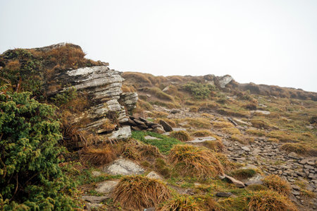 Golden autumn in the Carpathians. Mining arrays combined with trees with yellow leaves. Beautiful clouds and sunの写真素材