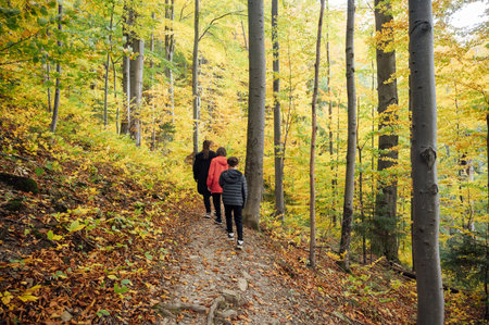 Mountain path among trees and open areas in the Carpathian Mountains. Beautiful nature landscape. Ukraineの写真素材