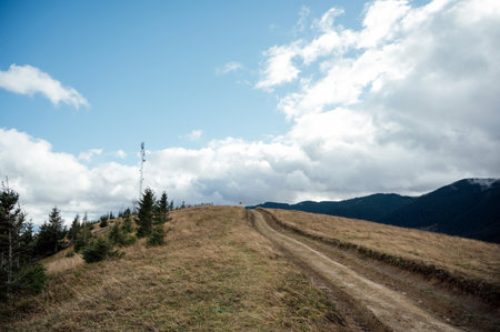 Mountain path among trees and open areas in the Carpathian Mountains. Beautiful nature landscape. Ukraineの写真素材