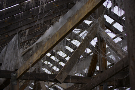 the atticの写真素材