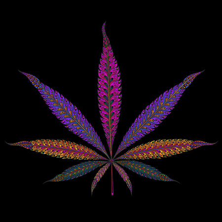 Marijuana. Color vector marijuana leaf patternsのイラスト素材