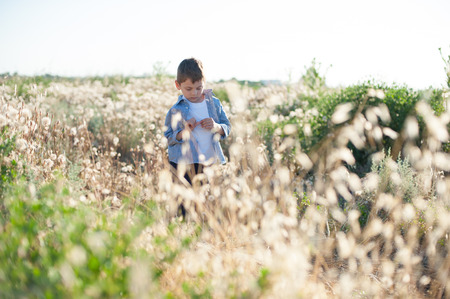 Pensive little boy wearing shirt standing in field amongst plantsの写真素材