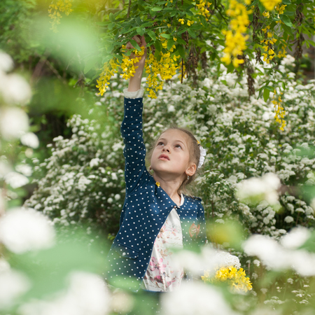 Little girl tears flowers from trees in a blooming gardenの写真素材