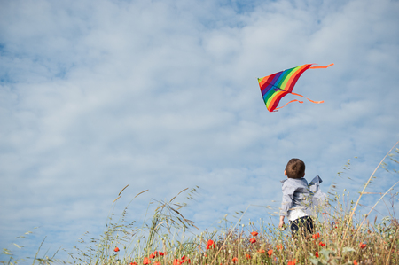 little boy standing in the field holds a flying kite flying in the air against the beautiful skyの写真素材