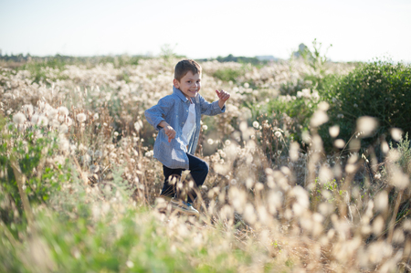 happy little boy running in the field among the plantsの写真素材
