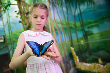 handsome little girl holding living beautiful butterfly on her hand