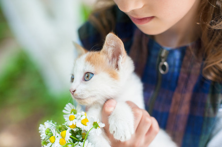 closeup of little cute girl with kitten and bouquet of summer wild flowers in her handsの写真素材