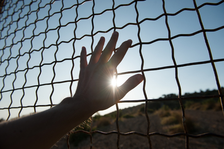 male human hand touching fence cage in jail and illegal immigration on sunsetの写真素材