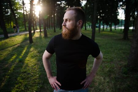 young beautiful bearded male in black t shirt standing in summer green park during warm sunset with sun ray and lens flareの写真素材