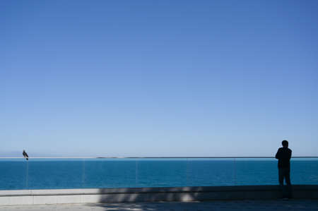 meditation solitude concept of one lonely man and alone bird dove on sea promenade with copy spaceの写真素材