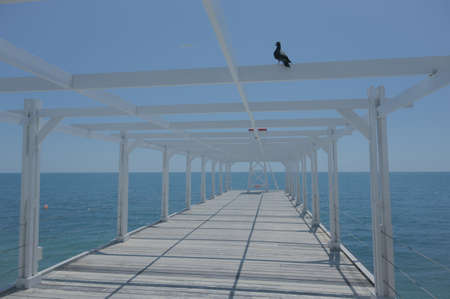 beautiful wooden pier with dove and flying seagull with blue sky and sea horizon on backgroundの写真素材