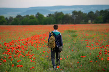 man with backpack walking along blossom poppies flowers field during active hiking travelの写真素材