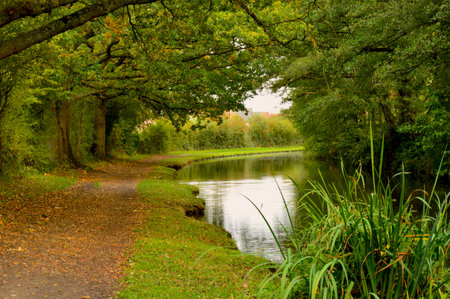 Autumn green trail along the canalの写真素材