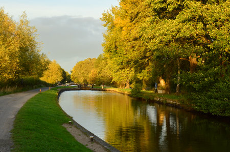 Autumn green trail along the canalの写真素材
