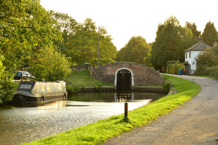Abandoned Narrowboat Beside Canal Bridge in Green Autumnの写真素材