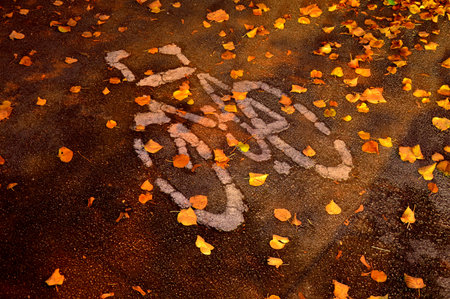 Bicycle symbol on autumn leaf-covered asphalt bike pathの写真素材