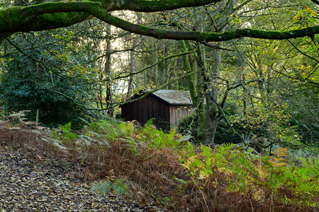 Cabin in autumn forest surrounded by colorful seasonal treesの写真素材