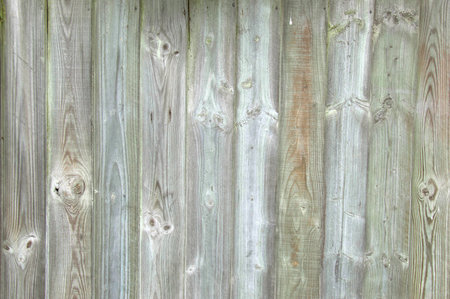 Vertical Wooden Fence Planks with Natural Grain and Weathered Textureの写真素材