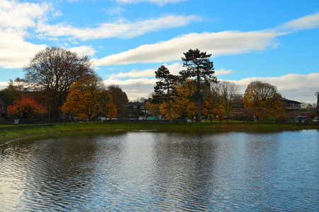 Autumn view of Netherstowe Pool lake in Lichfield, Englandの写真素材