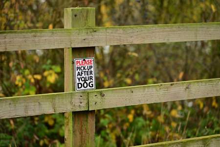 Dog Waste Sign on Fence in Autumn Woodland Park Settingの写真素材