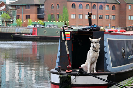 Dog Sitting on Narrowboat Docked Along Scenic Canal Viewの写真素材