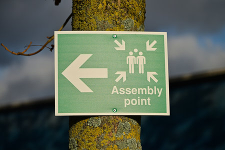 Green Assembly Point Sign With Arrow Mounted On Tree
