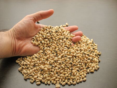 Close up of dried black-eyed peas or beans Vigna unguiculata or cowpea  in hand with brown wooden background. Cowpea in hand next to the are Cowpea poured on wooden surface.の写真素材