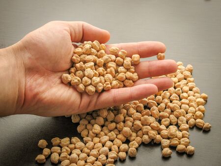 Close up of dried cheakpea beans (Cicer arietinum) in hand with brown wooden background. Cheakpea beans in hand next to the cheakpea beans are poured on wooden surface.の写真素材