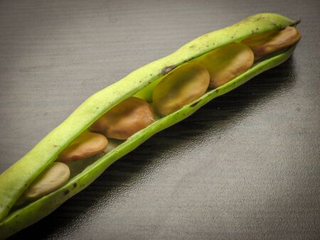 Closeup of dry broad bean seeds in fresh green broad bean pod on a black wooden table.

の写真素材